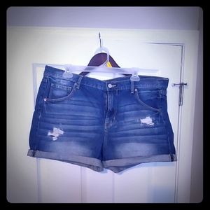 Denim Shorts Distressed
